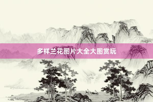 多样兰花图片大全大图赏玩